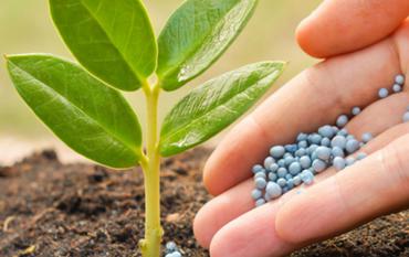 Fertilizers